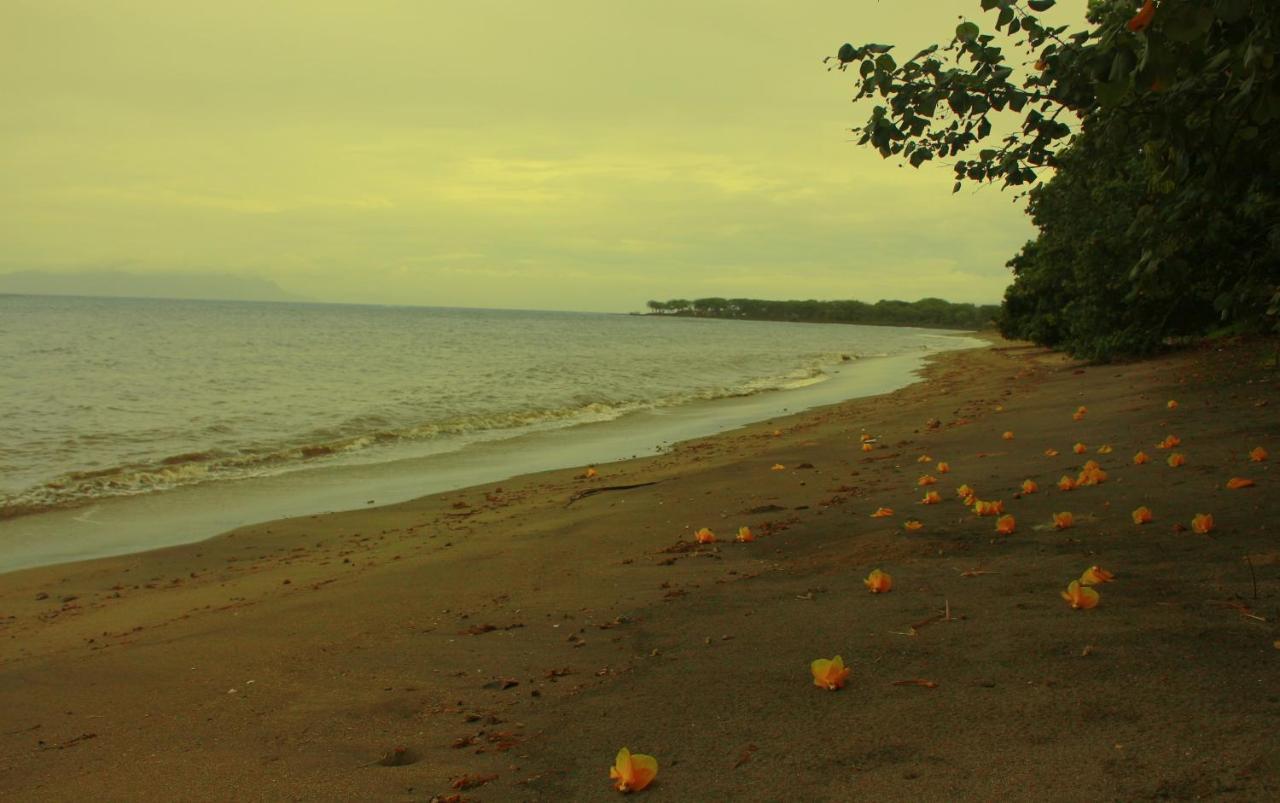 Fx72 Beach Resort เมาเมเร ภายนอก รูปภาพ
